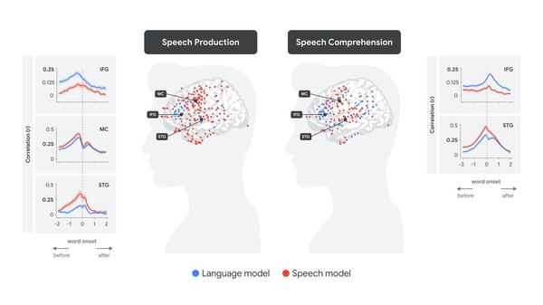 How AI Models Are Helping Us Understand Language in the Brain